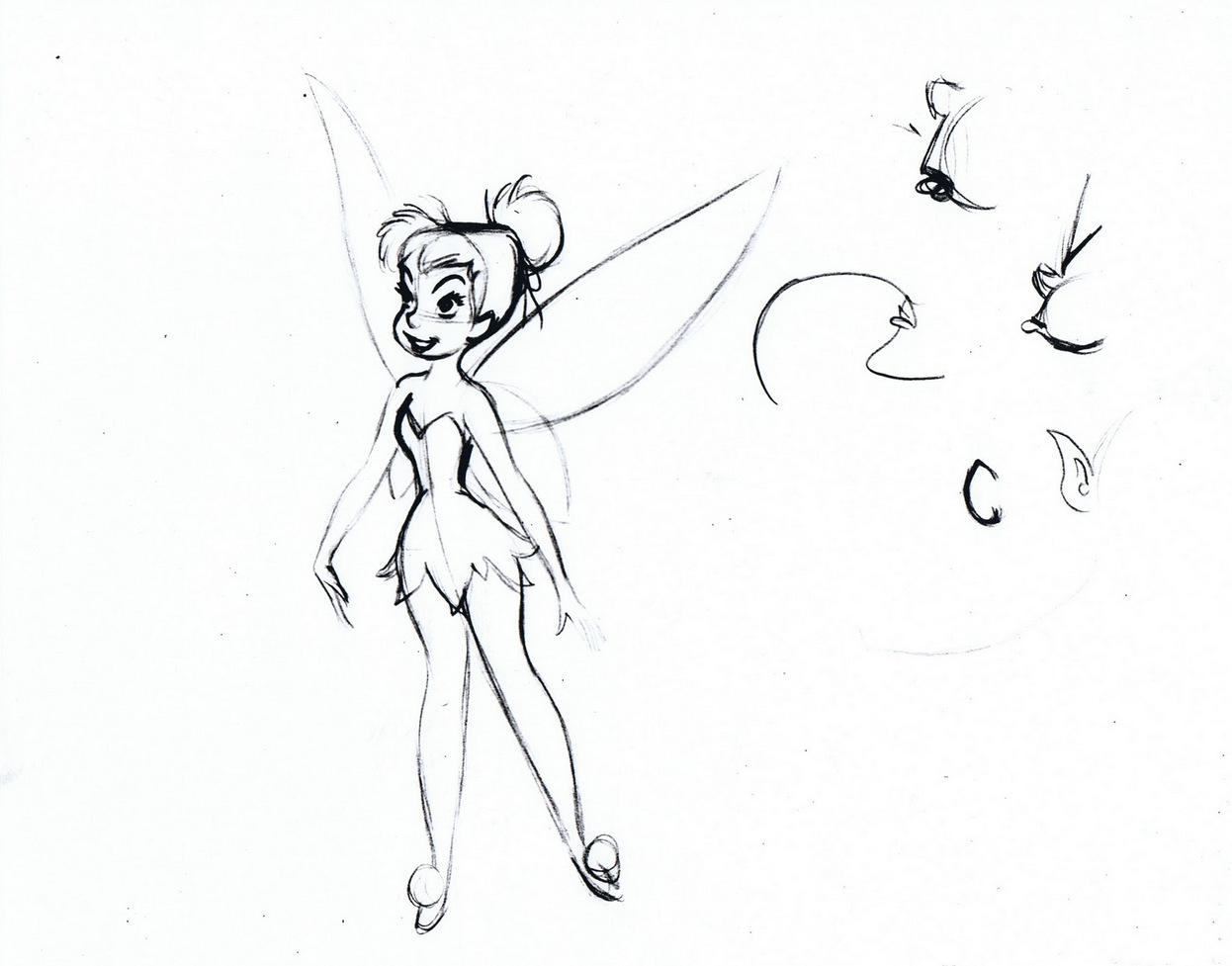 1246x977 Image - Tinkerbell Sketch