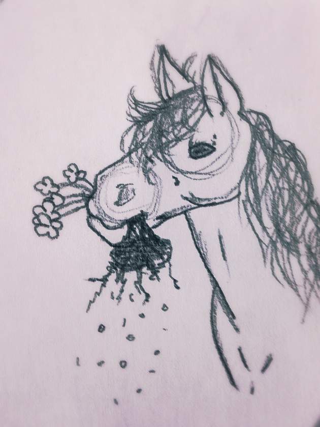 630x839 Tiny Sketch Equestrian Amino - Tiny Sketch