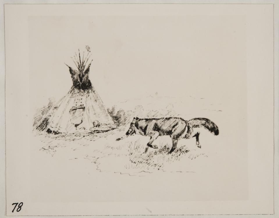 959x750 Sketch Of Wolf By Tipi Unknown - Tipi Sketch