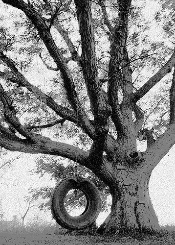 358x500 Tire Swing Tree Chalk Sketch This Is The Filtered - Tire Swing Sketch