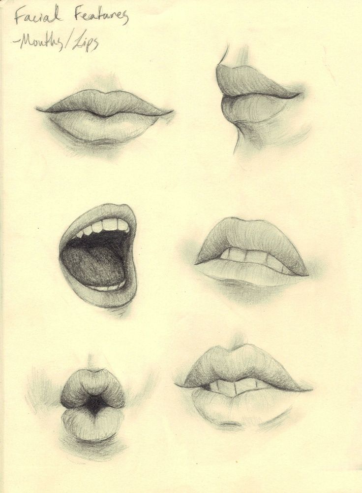 736x1000 Art Tnt Female Mouth Reference Artist Unknown Sketching - Tnt Sketch