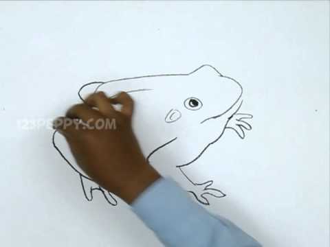 480x360 How To Draw A Toad - Toad Sketch