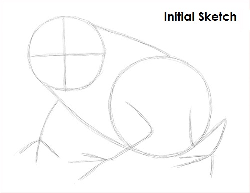 500x386 How To Draw A Toad - Toad Sketch