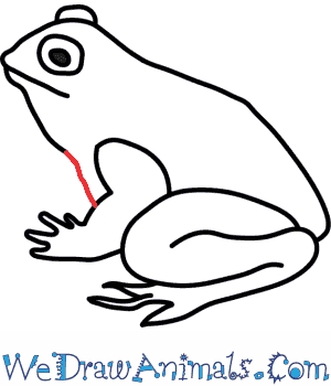 300x350 How To Draw A Toad - Toad Sketch