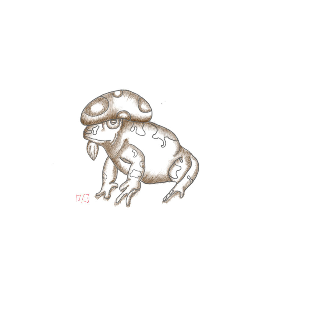 1024x1024 Marcus Butler - Toad Sketch