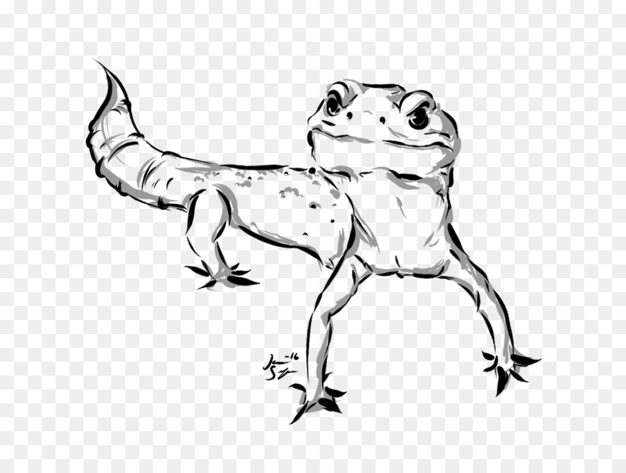 900x680 Toad Lizard Frog Line Art Sketch - Toad Sketch