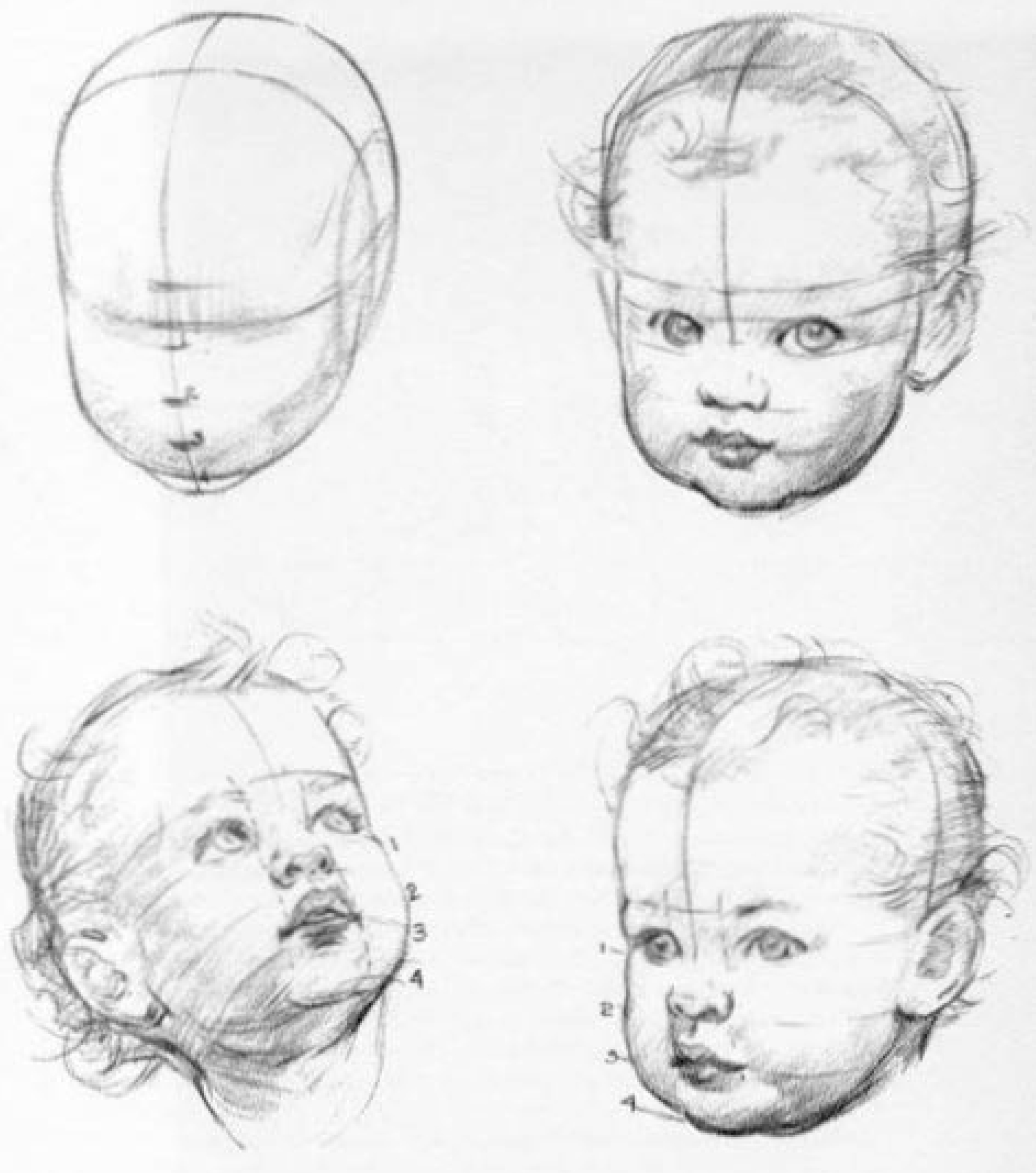 1965x2224 How To Draw Baby And Toddlers Heads In The Correct Proportions - Toddler Sketch