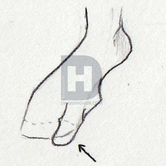 557x557 How To Sketch Feet, Step By Step, Drawing Guide, By Darkonator - Toe Sketch