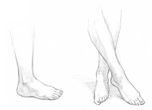 500x363 How To Sketch And Draw Feet - Toe Sketch