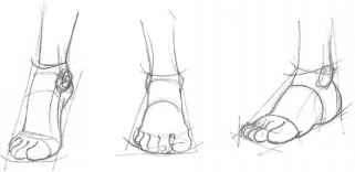 321x156 The Mouth Analysis And Structure - Toe Sketch