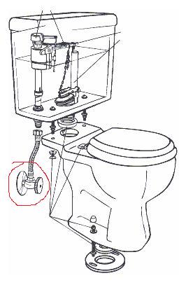 266x407 Trade Secrets For A Professional Toilet Installation Dengarden - Toilet Bowl Sketch