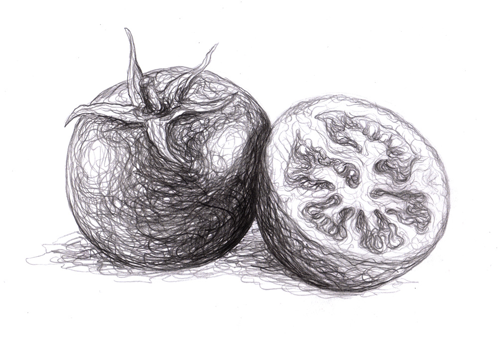 1000x677 Magellin . Blog Tomato Drawing - Tomato Sketch