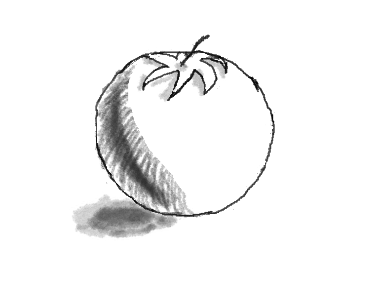 768x612 Collection Of Tomato Drawing Png High Quality, Free Cliparts - Tomato Sketch