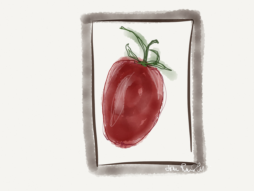 1024x768 Tomato Sketch Joan Ransley - Tomato Sketch