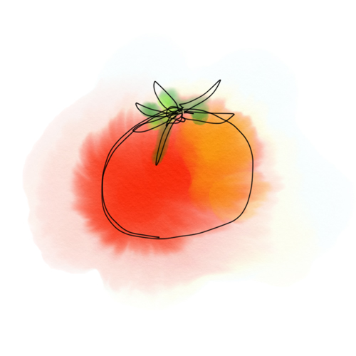 500x500 Tomato Sketch 1 - Tomato Sketch