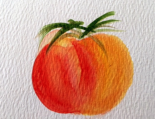600x461 Watercolor Tomato Sketch The Painted Apron - Tomato Sketch