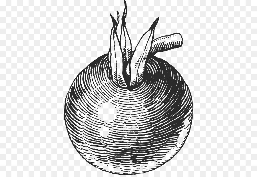 900x620 Hamburger Chili Con Carne Tomato Drawing - Tomato Sketch