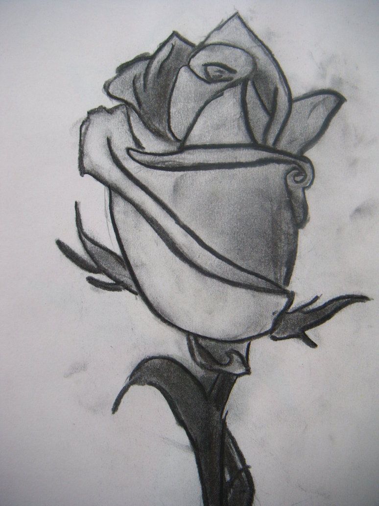 774x1032 Tonal Drawing Of A Rose Art Amp Design Drawings, Art - Tonal Sketch