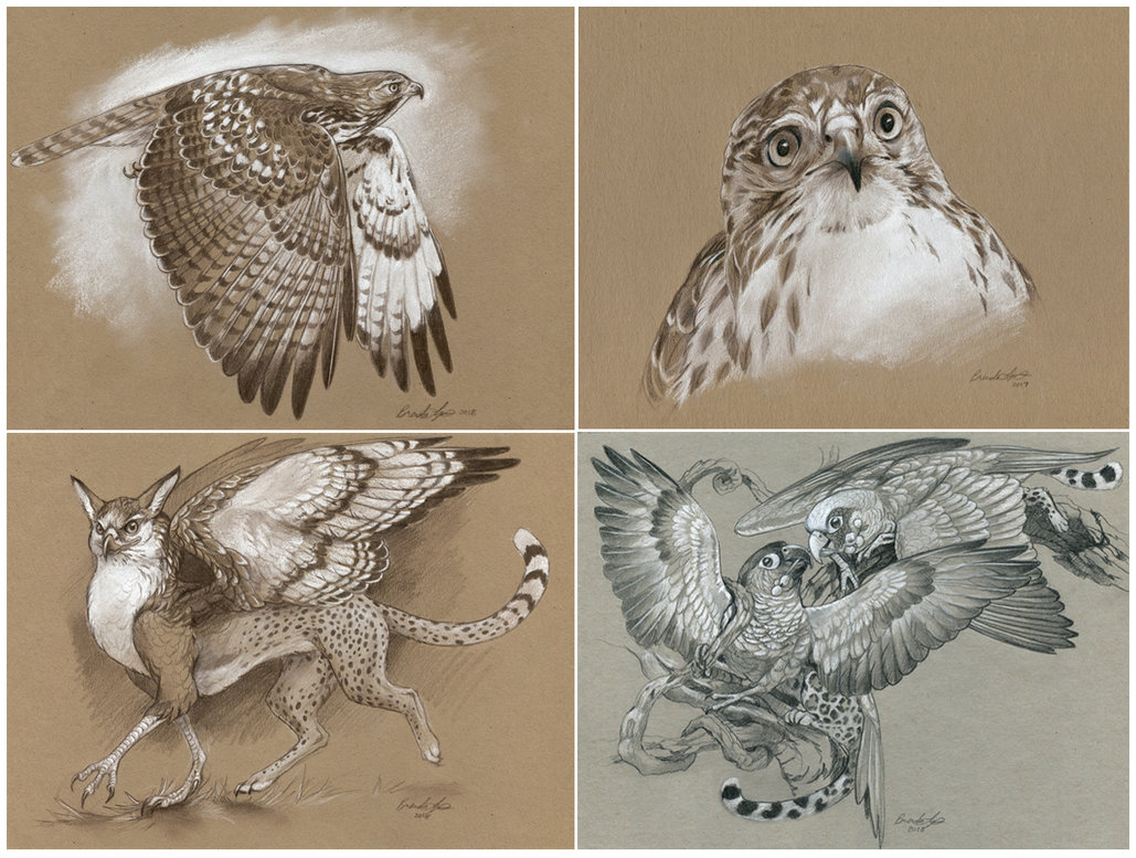 1029x777 Simple Toned Paper Sketches - Toned Paper Sketch