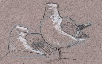 400x252 Sketching On Toned Paper Art Blogs Sketches - Toned Paper Sketch