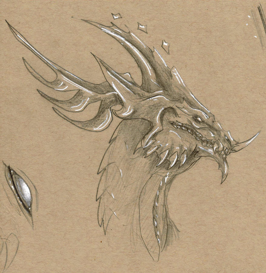 883x904 Toned Paper Sketch - Toned Paper Sketch