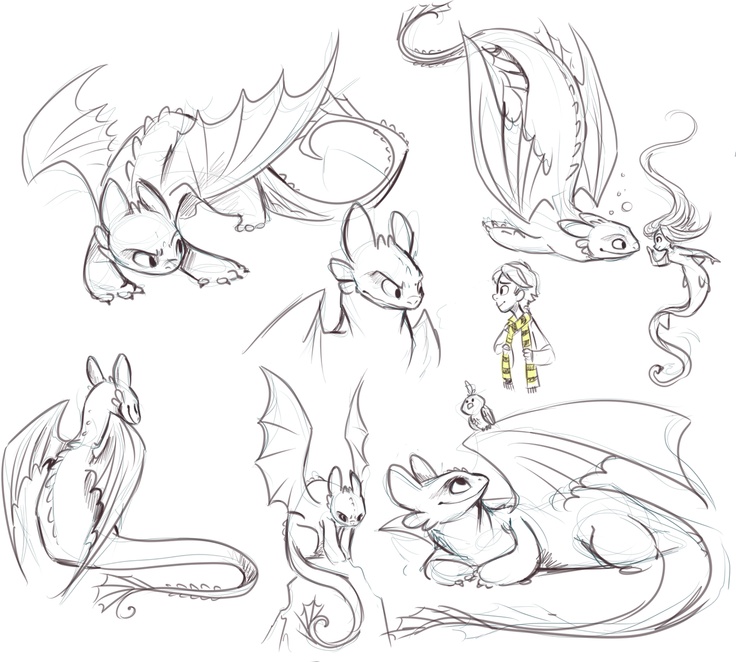 736x662 307 Images About To Train Your Dragon On We Heart It - Toothless Dragon Sketch