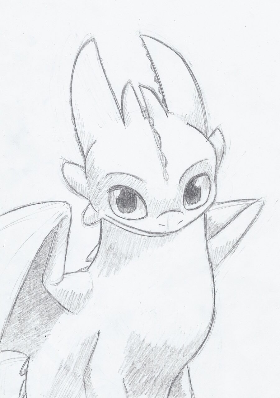 900x1278 Im Gonna Start Drawing Toothless And Stitch Together Drawings - Toothless Sketch