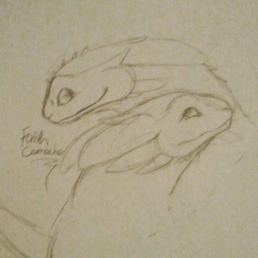 990x990 Sketch Of Toothless And His Partner ! H.t.t.y.d Amino - Toothless Sketch