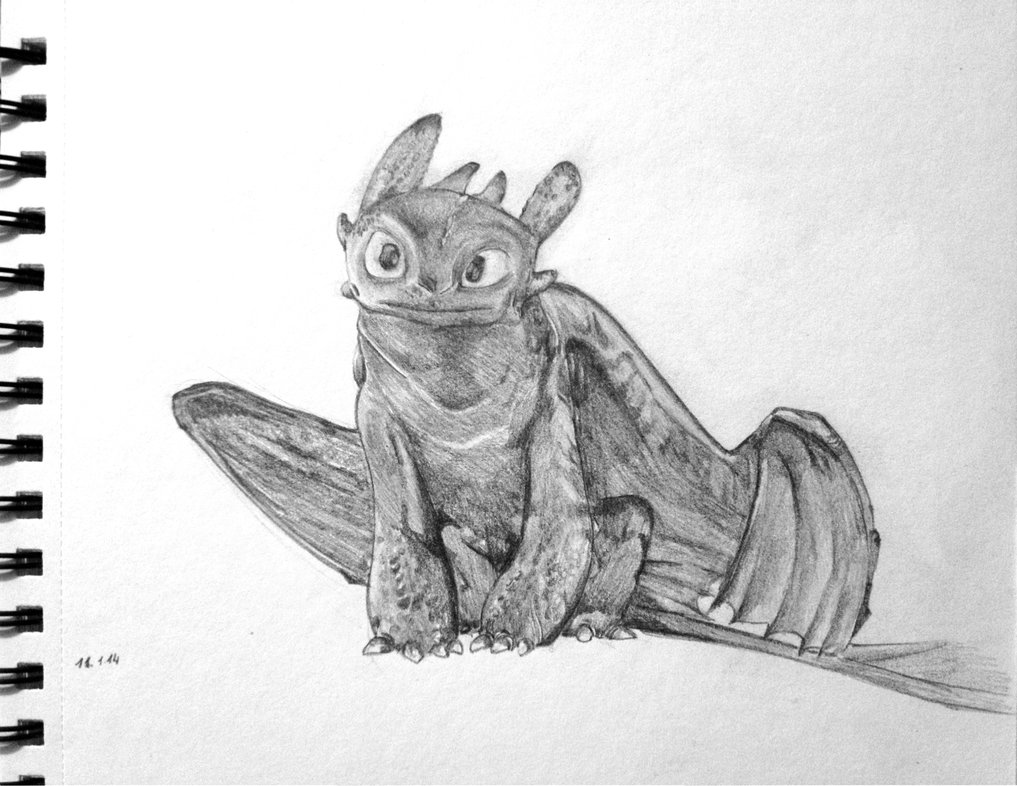 1017x786 Toothless Sketch By Yangsl - Toothless Sketch