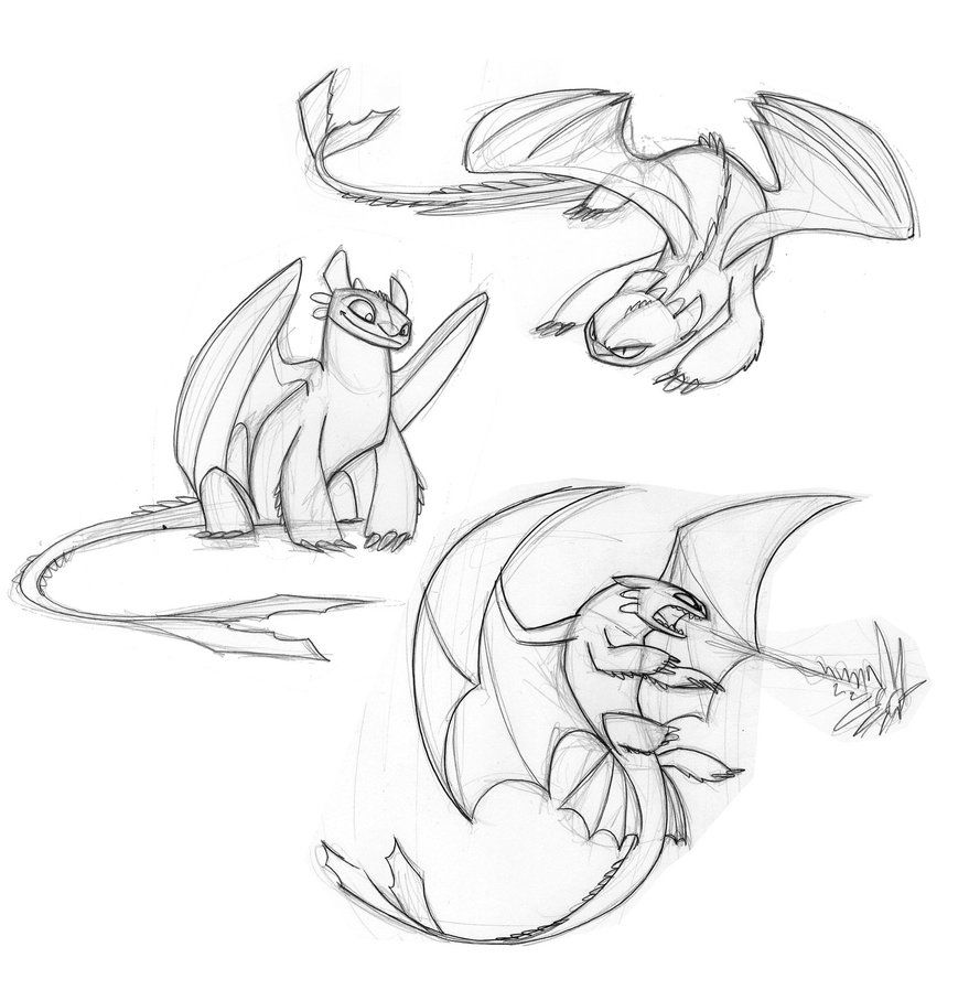 879x908 Toothless Sketches By Enolianslave Drawings How - Toothless Sketch