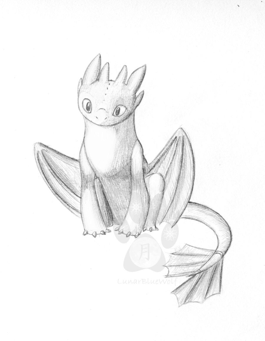 900x1158 Cute Toothless!!! Toothlesshttyd In 2018 Drawings - Toothless Sketch
