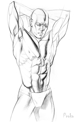 253x400 How To Draw And Shade The Human Torso Proko - Torso Sketch