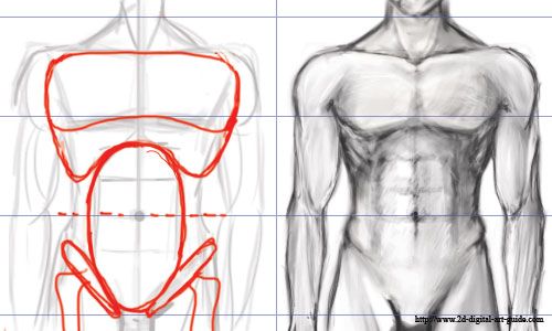 500x300 The Digital Art 101 Sitemap Lrn Drawings, Anatomy - Torso Sketch