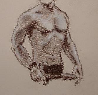 333x324 Torso Sketch - Torso Sketch