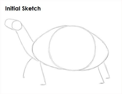 500x386 How To Draw A Tortoise - Tortoise Sketch