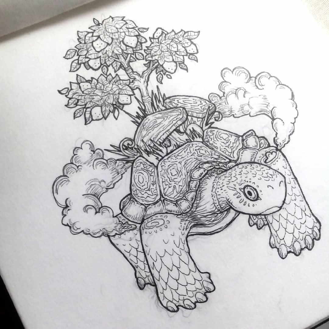 1080x1080 Lysum What Is - Tortoise Sketch