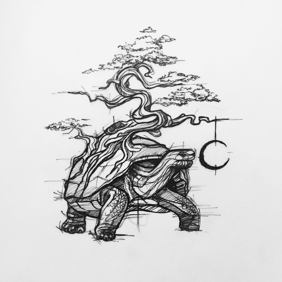 1080x1080 Old Turtle - Tortoise Sketch