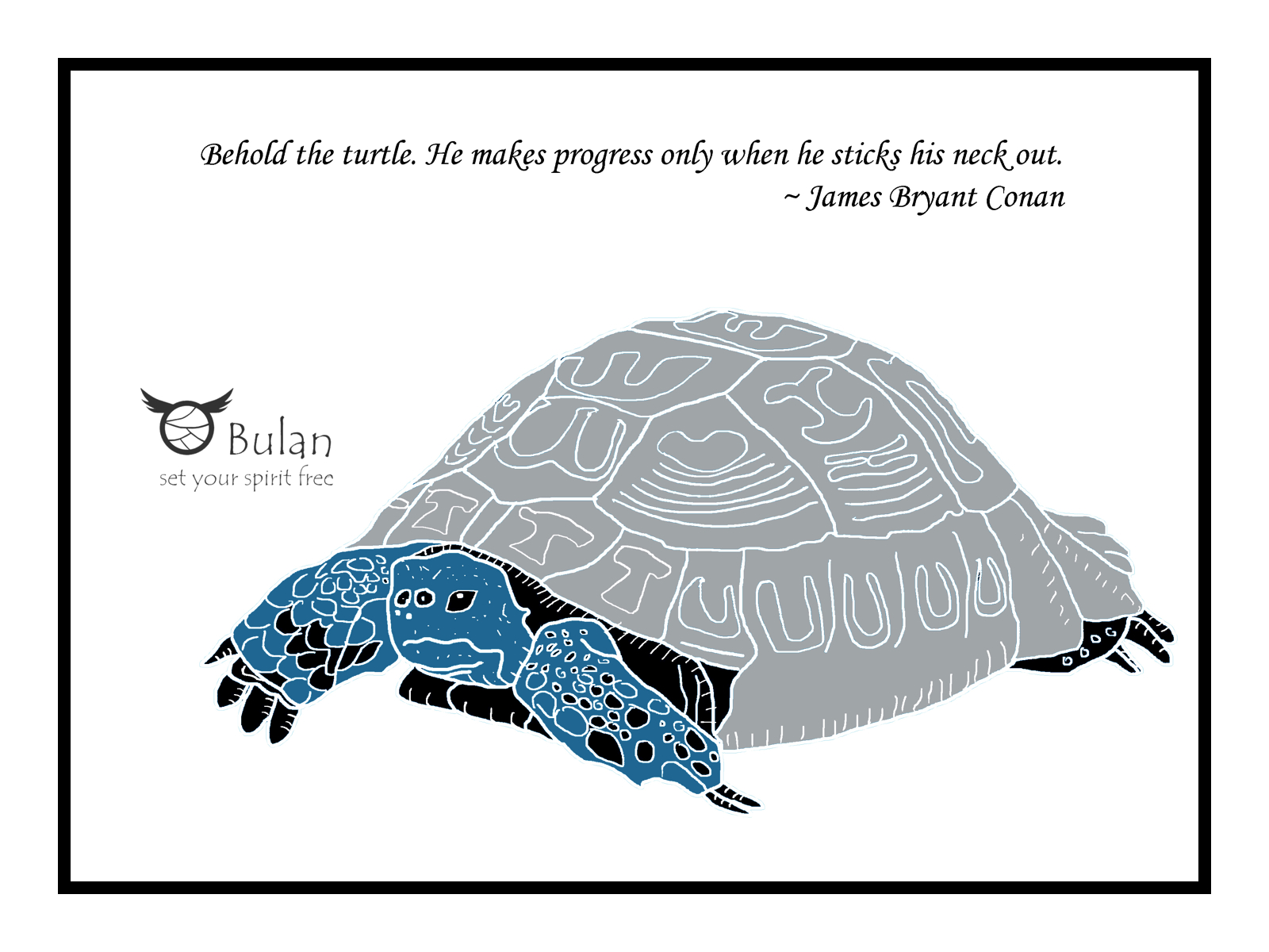 1600x1200 Sketch Of The Day No 217 Tort The Tortoise In Colour - Tortoise Sketch