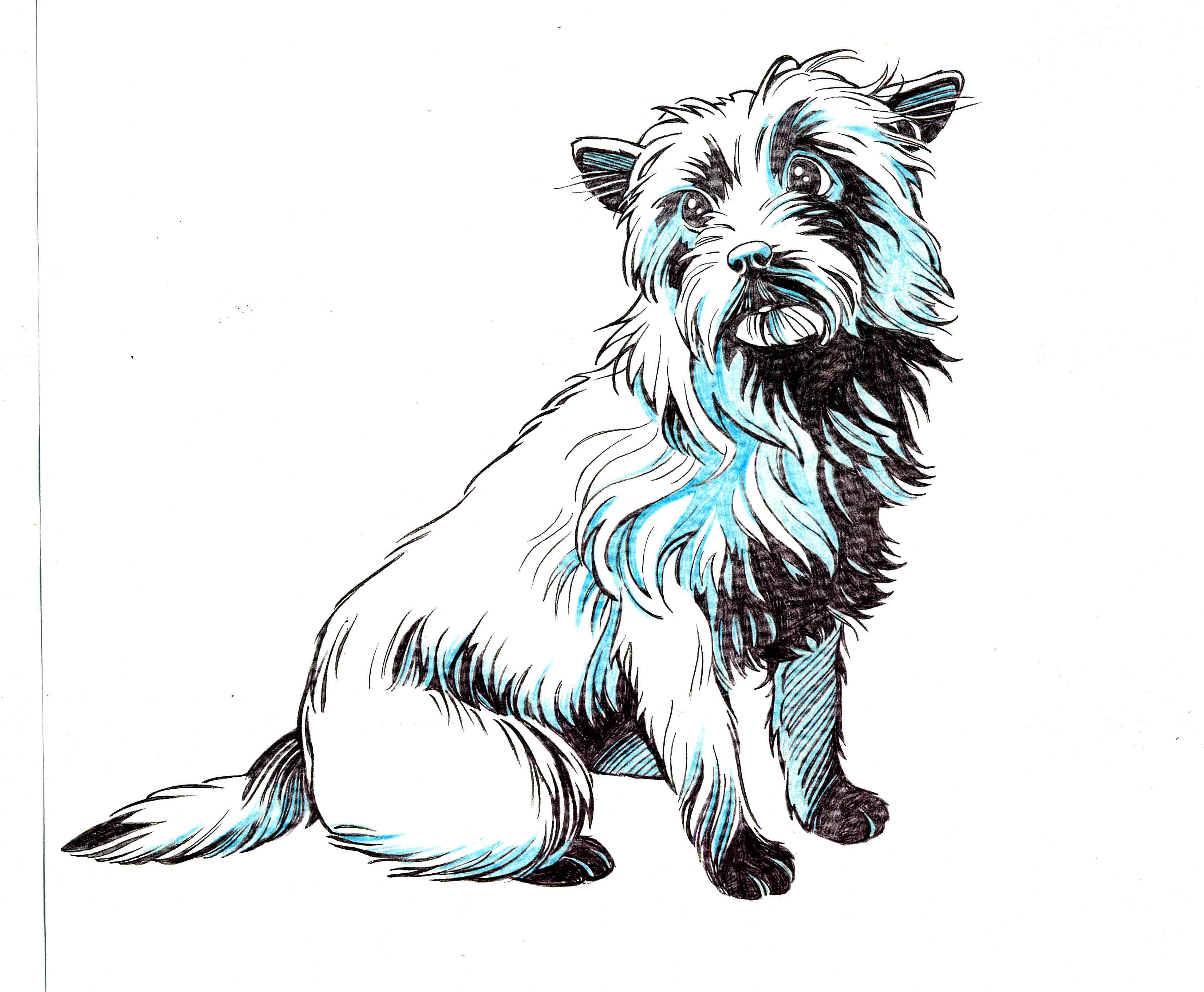 3307x2726 Wizard Of Oz Toto By Jerome K Moore - Toto Sketch