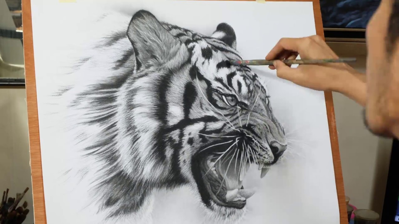 1280x720 Drawing Pencil - Toto Sketch