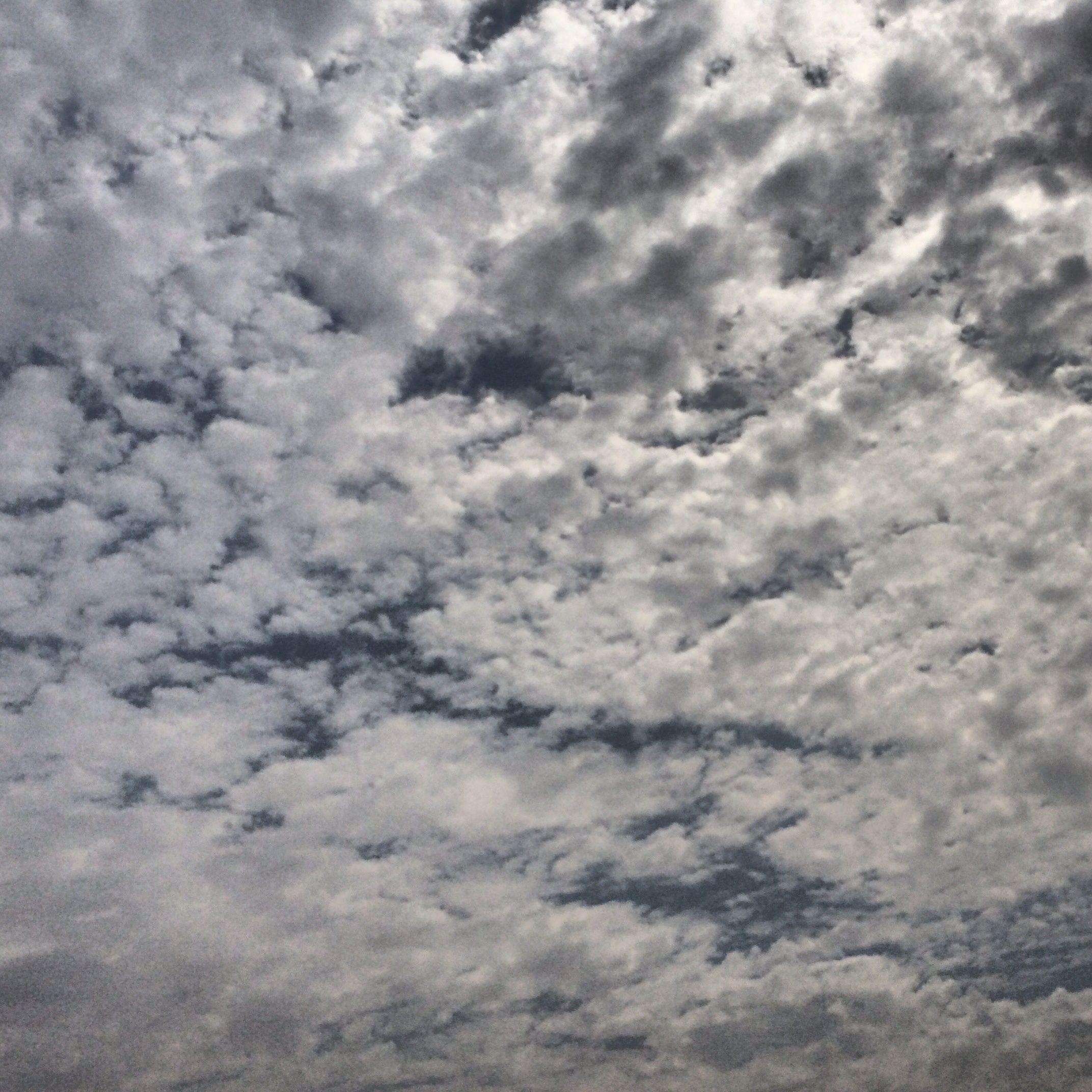 2144x2144 Toto - Toto Sketch