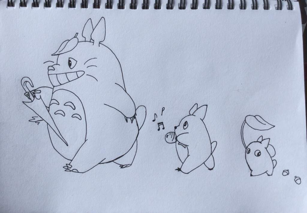 1024x712 Totoro Drawing Anime Amino - Totoro Sketch
