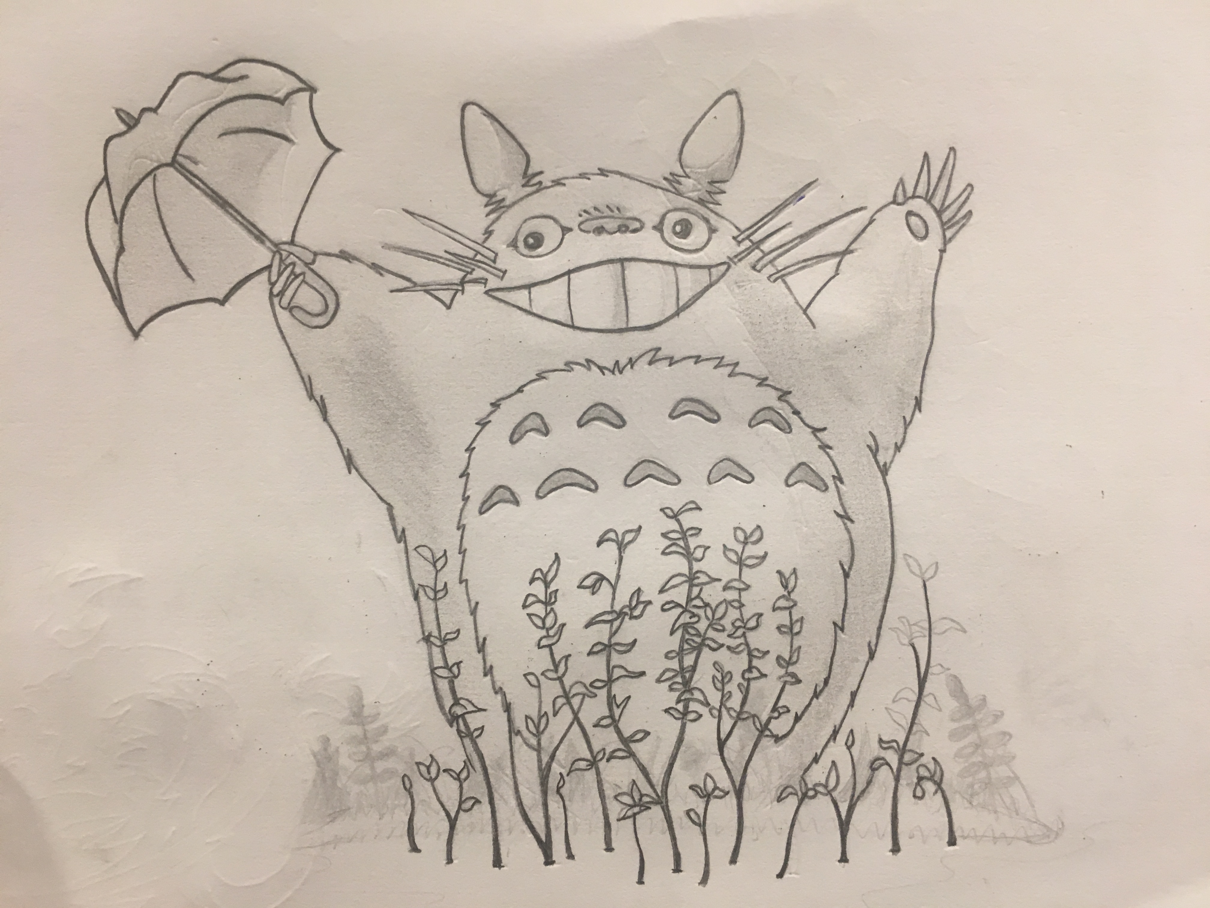 4032x3024 Totoro Sketch And Tattoo - Totoro Sketch