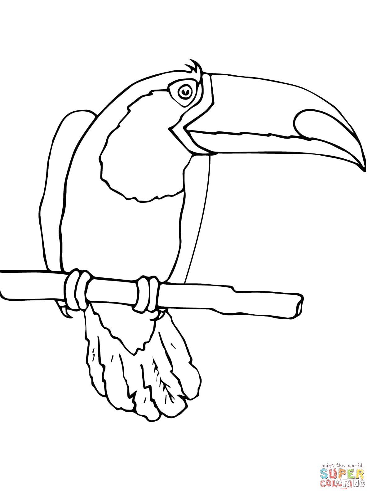 1200x1600 Toucan Bird Drawing 1 Coloring Page - Toucan Bird Sketch
