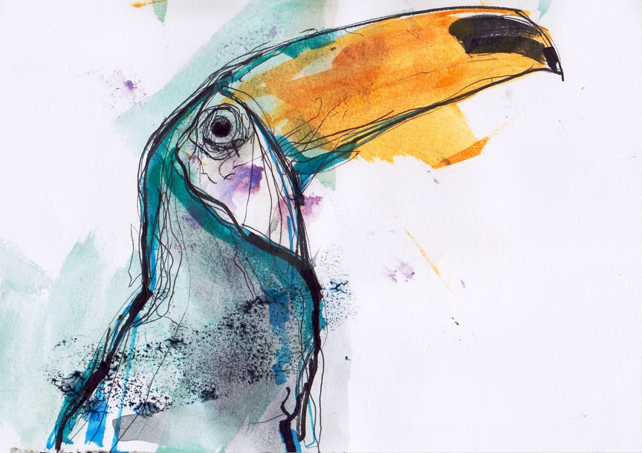 1280x904 Toucan Sketch Ghost Bird Of Costa Rica - Toucan Bird Sketch