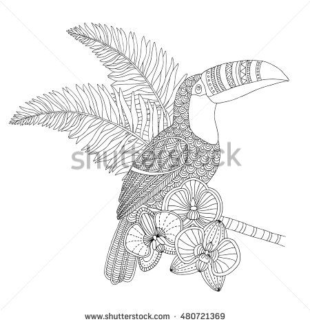 450x470 Vector Hand Drawn Toucan Bird Tropical Illustration For Adult - Toucan Bird Sketch
