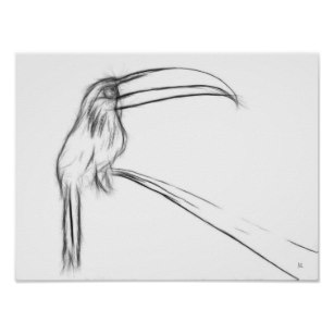 307x307 Toucan Birds Art Amp Framed Artwork Zazzle - Toucan Sketch