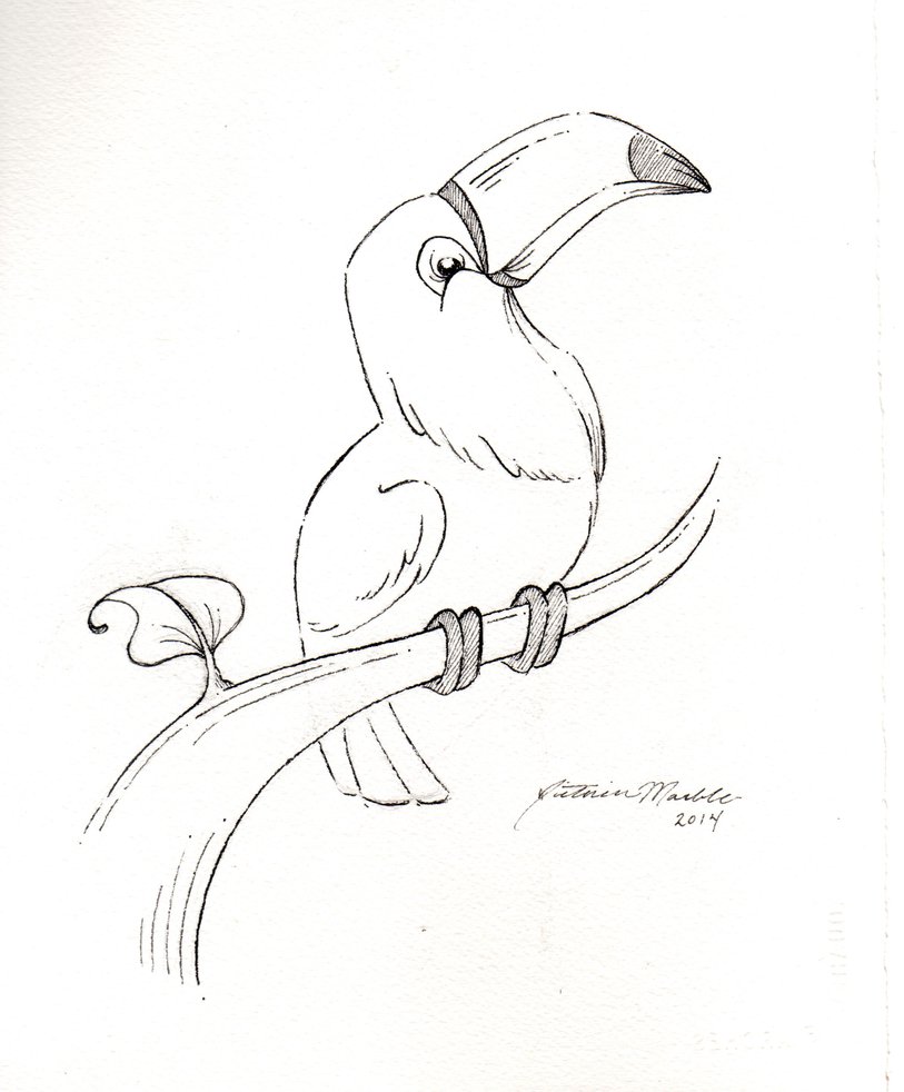 813x982 Toucan Sketch By Pinkbunnie - Toucan Sketch