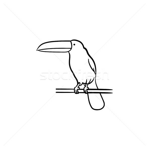 600x600 Toucan Hand Drawn Sketch Icon. Vector Illustration Andrei - Toucan Sketch