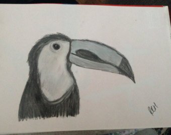340x270 Toucan Sketch Etsy - Toucan Sketch